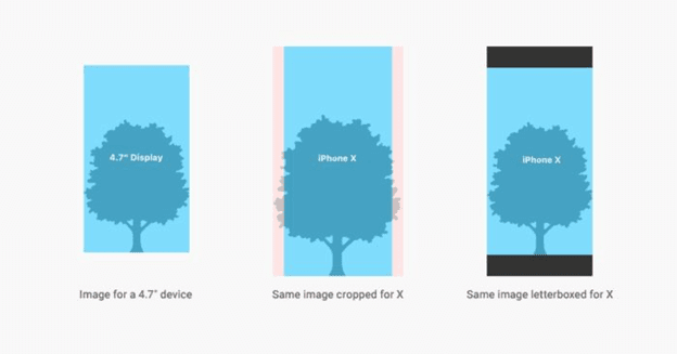 Aspect ratio differences between different size iPhones