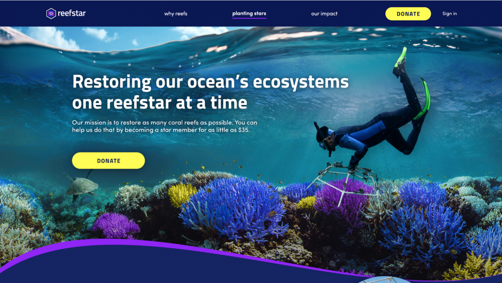 Homepage for the Reefstar project by Ironhack Miami for Adobe Creative Jams.
