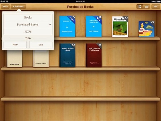 Apple iOS 6 used a skeuomorphic bookshelf that looked like a real physical bookshelf, with 3D shelves and wood textures. 