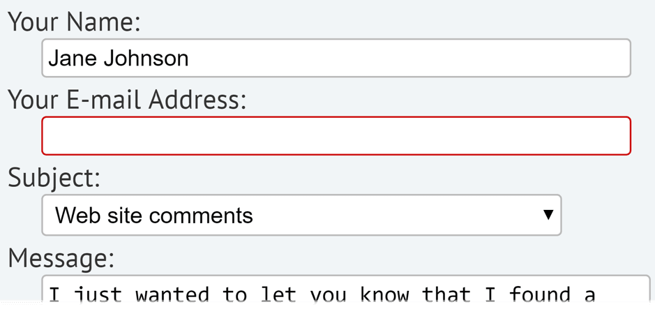 Information form field with red border around missing e-mail address