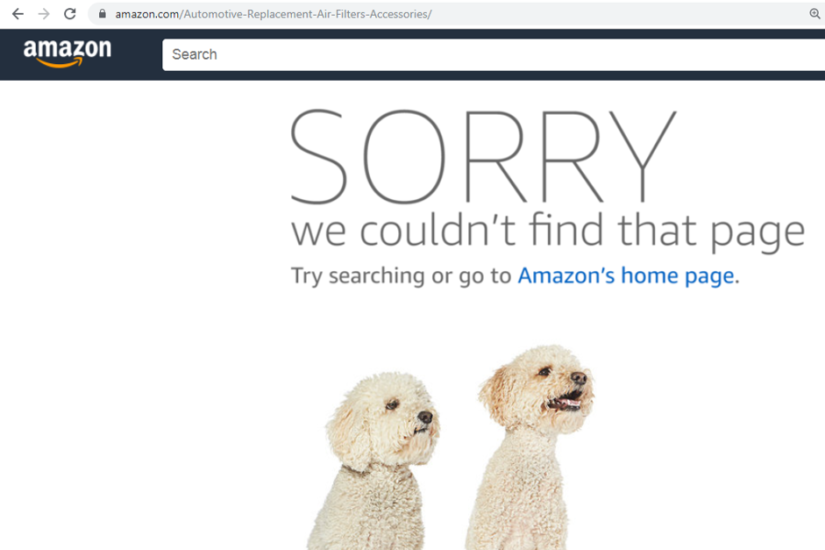 screenshot of Amazon's website showing two dogs on the screen with a 404 page, detailing how a product could not be found. 