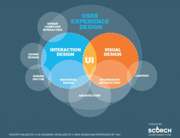 Information Architecture Guide for UX Architects & Designers | Adobe XD ...