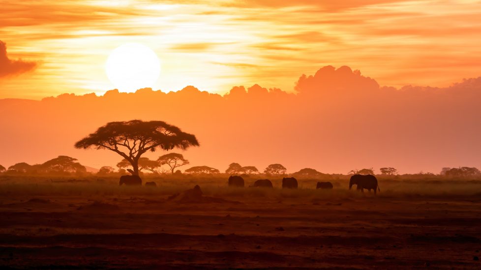 A photo of a sunset in Amboseli, Kenya, that features the orange analogous color combination.