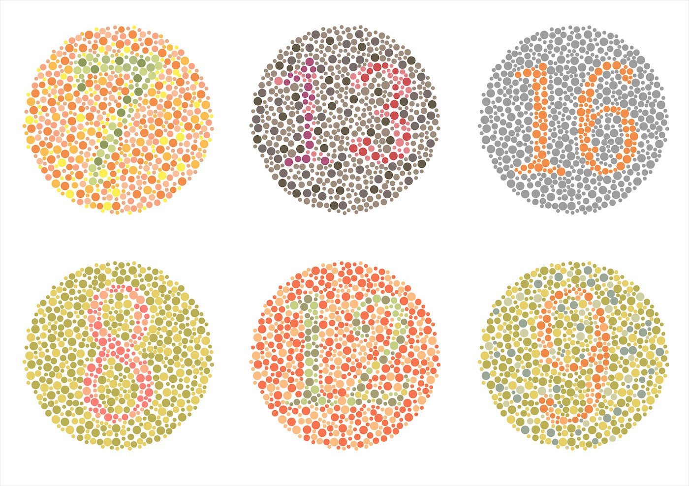 A screenshot from Dr. Shinobu Ishihara's test for color deficiency.